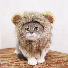 Load image into Gallery viewer, Lion Mane Costume for Pets 6 - agoradevshop