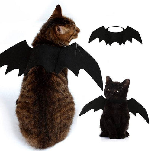 Halloween Cat Costume - Pet Cat Bat Wings - agoradevshop