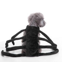 Load image into Gallery viewer, Funny Spider Dog Costume Halloween - agoradevshop