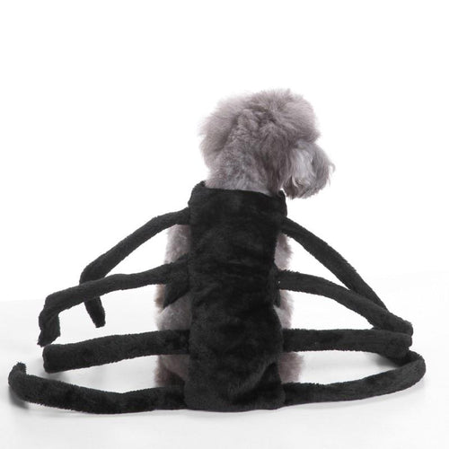 Funny Spider Dog Costume Halloween - agoradevshop