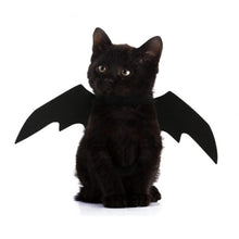 Load image into Gallery viewer, Bat halloween costume for cats - 2019. This title is too long to really fit on google search result pages - agoradevshop